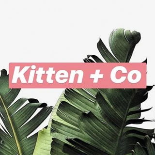 Kitten Co logo