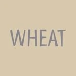 Wheat Kids Clothing logo