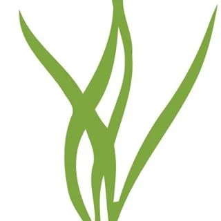 Air Plant Supply Co logo