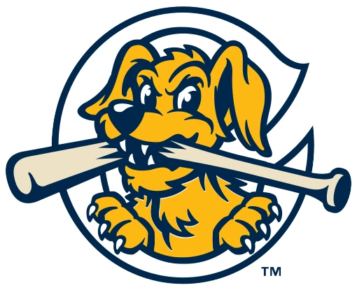 Charleston RiverDogs logo