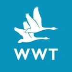 WWT logo