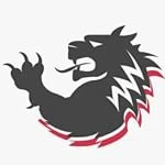 LOK Grips logo
