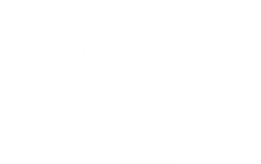 RaveRunner logo