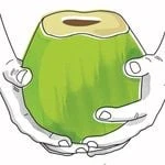 Harmless Harvest logo
