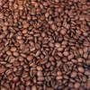 Shepherd's Crook Coffee logo