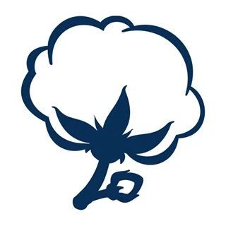 Southern Shirt logo