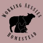 Working Aussies Homestead logo