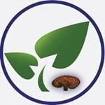 New Earth Organics logo