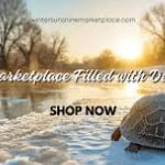 Winter Sunshine Marketplace logo
