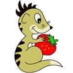 Strawberry Meerkat Boutique logo