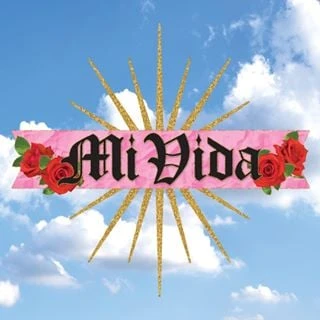 Mi Vida Boutique logo