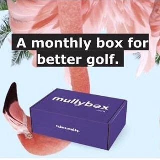 Mullybox logo