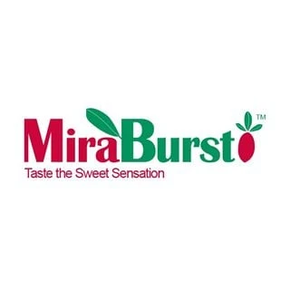 Mira Burst logo