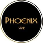 Phoenix Star Glass logo