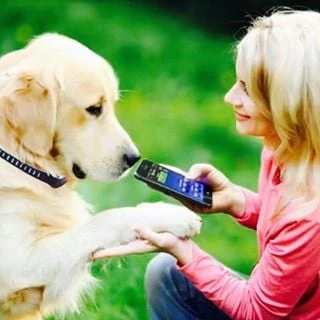 High Tech Pet logo