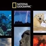National Geographic Store MY logo