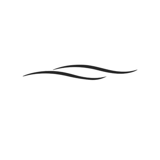 Breezyswimwear logo