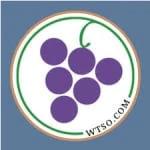 WTSO logo