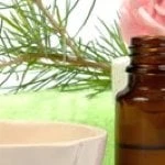 Wellington Fragrance logo