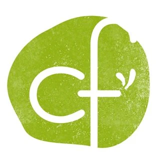 Chasing Fireflies logo