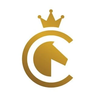 The Chess Store logo