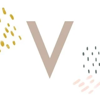 Village Co logo