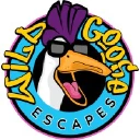 Wild Goose Escapes logo