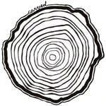 Carved logo