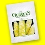 Gurney's logo