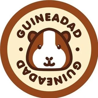 Guineadad logo