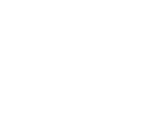 BOXFOX logo